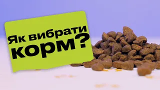 Як правильно вибирати корм для своїх улюбленців 🐶🐱