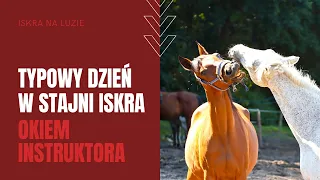 TYPOWY DZIEŃ W STAJNI ISKRA | okiem instruktora