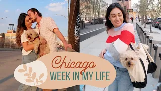 CHICAGO WEEK IN MY LIFE - Living Downtown, Alex's Birthday and more!