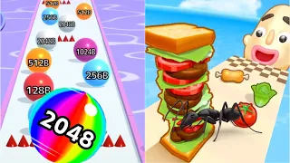 "Can You Beat This Impossibly Difficult Race? 🤔 Sandwich Runner vs Ball Run 2048!"