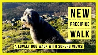 Hiking in North Wales | New Precipice Walk | Eryri (Snowdonia) Dog Walk