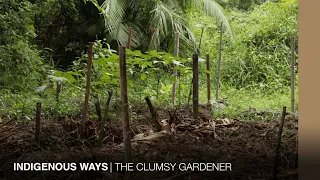 Permaculture and Chinampa in an indigenous Hong Kong village | THE CLUMSY GARDENER