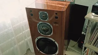 YAMAHA NS-1000X