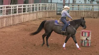 Cierra Nelson - The Fake Barrel: Freeing Up A Horse