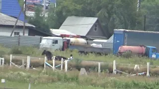 5 заезд, 26 07 2020 Приз Барса 2 гит, Новосибирск MP4