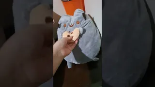 My pusheen cat!! (do not judge abt voice please)