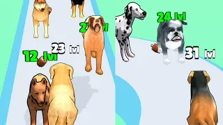 Big Dog Evolution Run Max Level Gameplay Walkthrough Android IOS