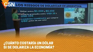 CUÁLES son los RIESGOS de DOLARIZAR en ARGENTINA