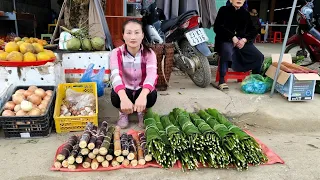 Harvesting Sugarcane & Dong Leaves Goes to the market sell, my daily life | Ly Thi Tam