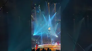 la grande fête lilloise du cirque