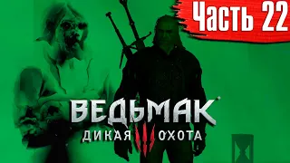 Ведьмак 3: Дикая Охота Прохождение Часть 22 "Мышиная Башня" (ПЕРЕЗАЛИВ)