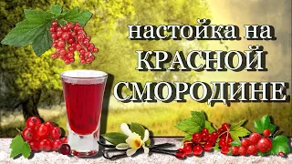 Настойка из красной смородины. Рецепт домашней настойки