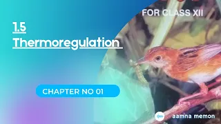 1.5 Thermoregulation | Adaptation Of Plants To Low and High Temperature | Class 12 | Biology