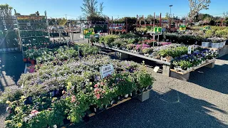 Home Depot Garden Center 2024 Spring Black Friday Sale🤑Great Savings & New Plant Arrivals🌸🛒