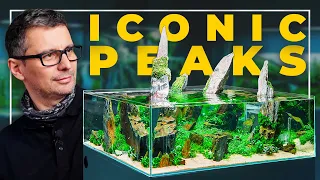 240+ liters ICONIC 'CUBE' MOUNTAIN Planted Aquarium