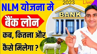 NLM Scheme 2023 Bank Loan Full Detail, कब, कितना, कैसे और कहाँ से मिलेगा बैंक लोन, Goat farming