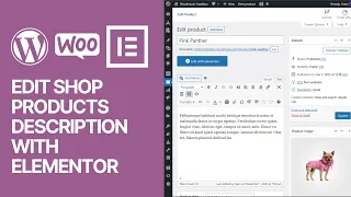 How To Edit or Change WooCommerce Products Description Using Elementor WordPress Plugin? Tutorial 🛒