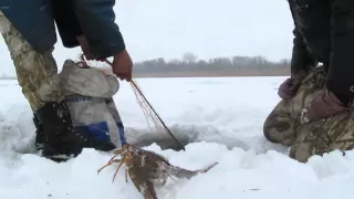 Зимняя рыбалка, снимаем сети 2 fishing with nets.