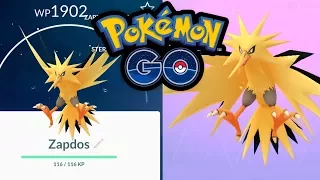 Zapdos is da! Die besten Konter, Tipps & Tricks | Pokémon GO Deutsch #379