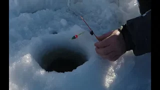 Весенняя рыбалка по льду / Spring fishing on the ice