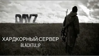 Выживаем на DayZ ,сервер BlackTulip.Только хардкор
