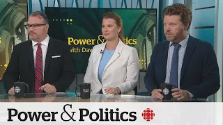 Political Pulse Panel: Carbon tax partisan split and foreign interference