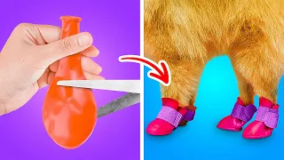 Priceless Hacks, Smart Gadgets And Easy DIYs For Pet Owners