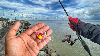 DICAS- CHUVA DE PEIXE COM OS MELHORES MICRO JIGS PARA PESCAR NAS PEDRAS DO MAR! UM ATRÁS DO OUTRO!