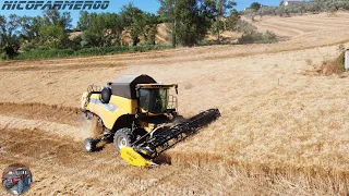 STARTING HARVEST SEASON 2k23 | NEW HOLLAND CX5.90 Hillside + CRESSONI CRX 6 m. | F.lli Bucci