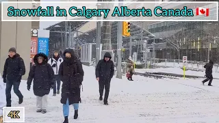 Snowfall in Calgary Alberta Canada | 4K Snowfall walking tour in Calgary #Calgary #Alberta #canada