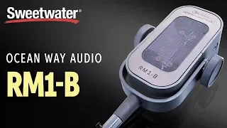Ocean Way Audio RM1-B Ribbon Microphone Demo