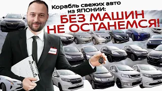 Япония продолжает поставлять нам авто ОПТОМ❗ Freed❗Shuttle❗Step ❗Vezel❗Stream❗Prius❗