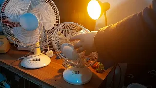 2 GET oscillating desk fans