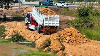 Spend Time 5 Day Filling Pond By Miniature Truck And Komat`su D40 Dozer Working Push And Move