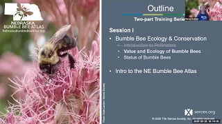 Nebraska Bumble Bee Atlas Training I: Bumble Bee Ecology, Conservation, and an Intro to the NE BBA