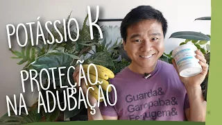 Tudo sobre o POTÁSSIO na adubação das suas plantas.