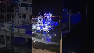 Frisky Mermaid Boat Docked At Night In Pensacola, Florida