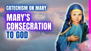 The Presentation of Mary in the Temple at the Age of 3 | Catechism on Mary