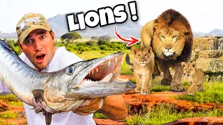 FEEDING MASSIVE FISH TO LION PRIDE ! WHAT HAPPENS ?!