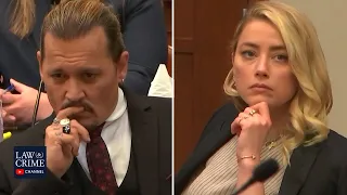 Amber Heard's Witnesses Testify in the Defamation Trial (Johnny Depp v Amber Heard)