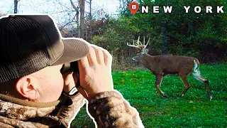 BIG Buck in New York | Halloween Buck Encounter