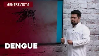 Saiba tudo sobre a Dengue