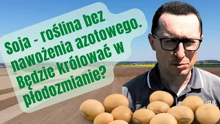 Soja – roślina, która nie wymaga nawozów azotowych. Wśród rolników rośnie zainteresowanie