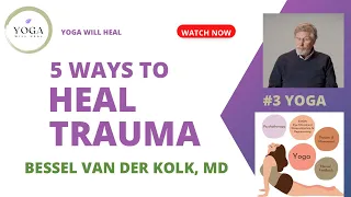 5 Ways to Heal Trauma / Dr Bessel van der Kolk