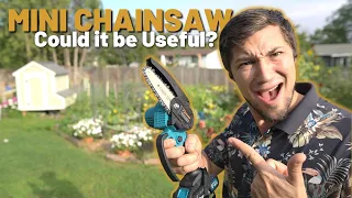 Could this Mini Chainsaw be Useful? This SURPRISED Me!!