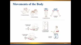 MBLEX PREP Start here: Navigating the Body