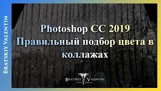 Photoshop CC 2019 Правильный подбор цвета в коллажах