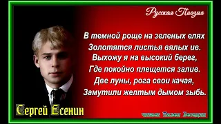 Мечта  —Сергей Есенин    —читает Павел Беседин