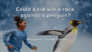 Could a kid win a race against a penguin?