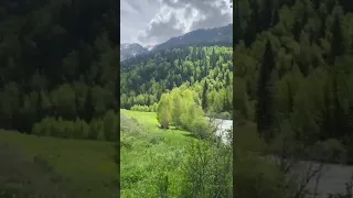 Текелі Бұрханбұлақ 🏕️🏔️😍